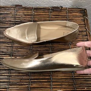 Shiny Flats